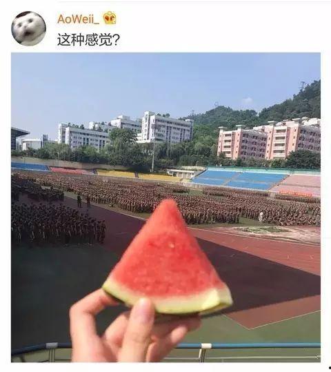 哈尔滨学姐的吃瓜,揭秘校园风云录