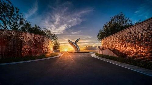 银湖新村新闻头条,揭秘社区发展新篇章，共建美好家园