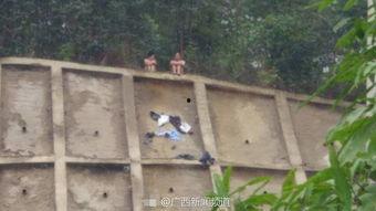 山头吃瓜,探寻乡村田园的甜蜜时光