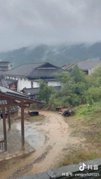 山货上头条怒江六库,探寻秘境中的绿色宝藏