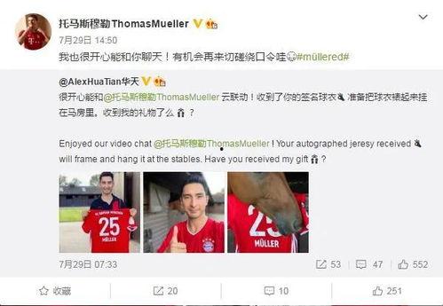 lysn明星聊天,揭秘明星私生活与幕后故事