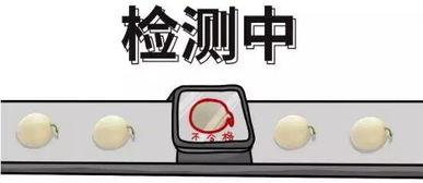 娱乐吃瓜酱几何问题